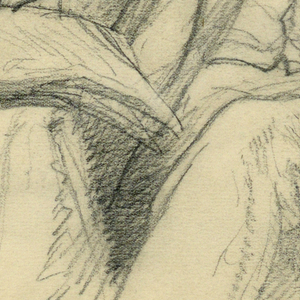 Drawing, William E. Dodge Seated, 1884