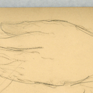 Drawing (USA)