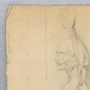 Drawing, Anatomical Study of Male, ca. 1850