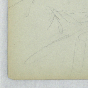 Drawing (USA)