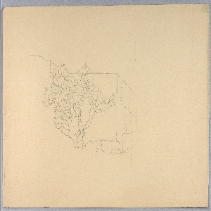 Drawing (USA)