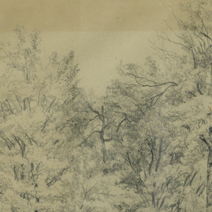 Drawing (USA)