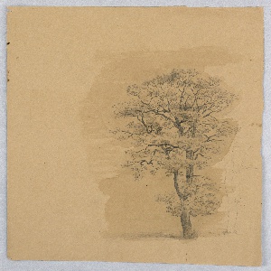 Drawing (USA)