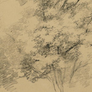 Drawing (USA)