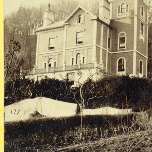Photograph