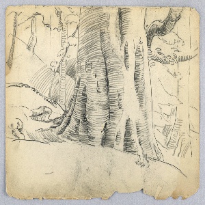 Drawing (USA)