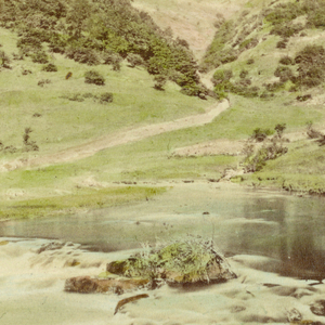 Photograph
