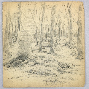 Drawing (USA)