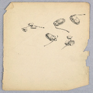 Drawing (USA)