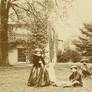 Photograph