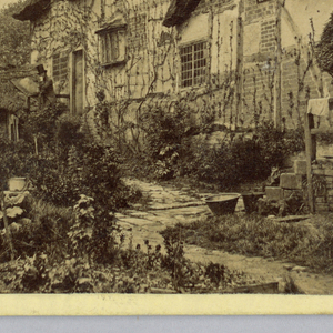 Photograph