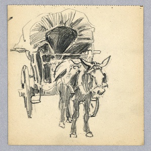Drawing (USA)