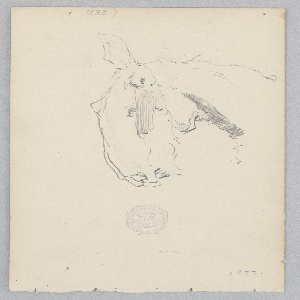 Drawing (USA)