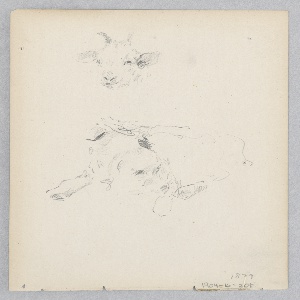 Drawing (USA)