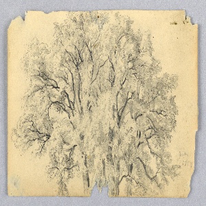 Drawing (USA)