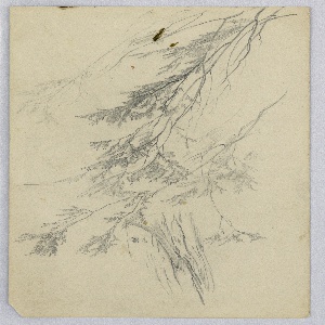 Drawing (USA)