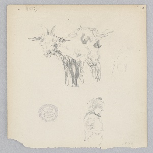 Drawing (USA)