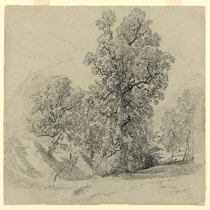 Drawing (USA)