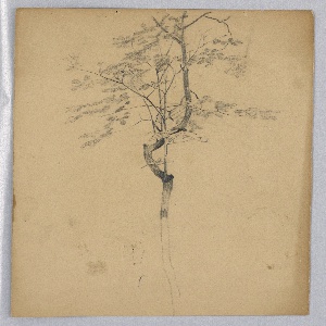 Drawing (USA)