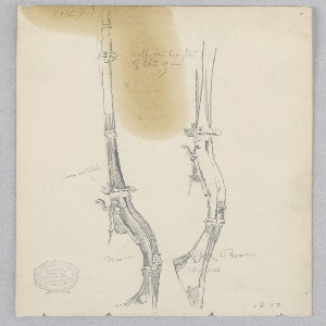 Drawing (USA)