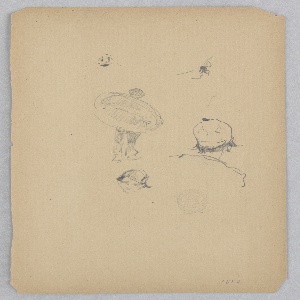 Drawing (USA)