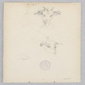 Drawing (USA)