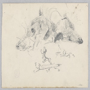 Drawing (USA)