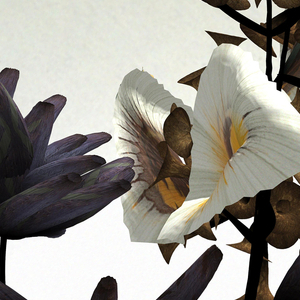 Animation, On Growth and Form, 2013