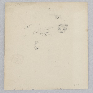 Drawing (USA)