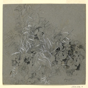 Drawing (USA)