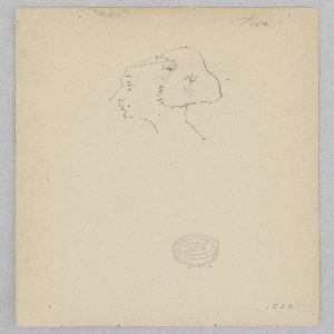 Drawing (USA)