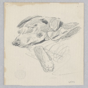 Drawing (USA)