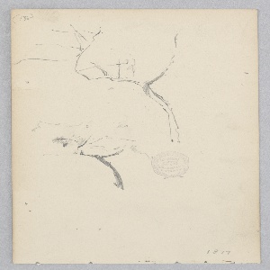 Drawing (USA)