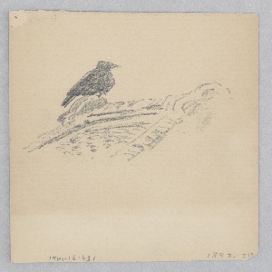 Drawing (USA)