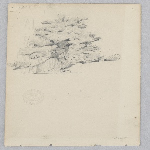 Drawing (USA)