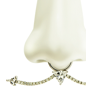 Nose Ring, from Spring / Summer 2016 collection, 2015