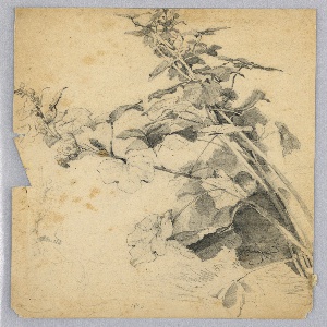 Drawing (USA)