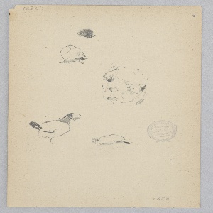 Drawing (USA)