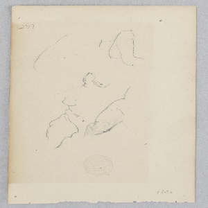 Drawing (USA)
