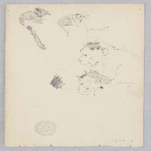 Drawing (USA)