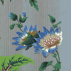 Sidewall, Genessee, 1965