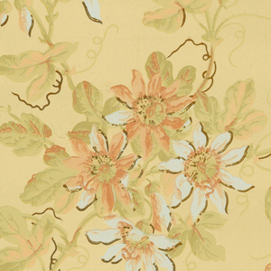 Sidewall (USA), 1900