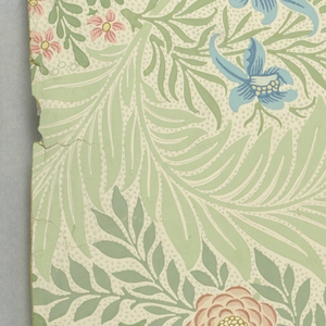 Sidewall, Larkspur, 1874