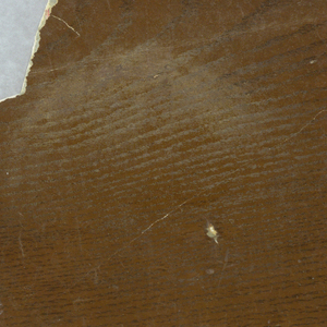 Sidewall (possibly USA), ca. 1890