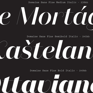 Specimen, Domaine Sans Italic typeface, 2013