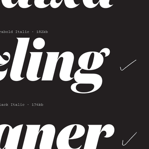 Specimen, Domaine Display Italic typeface, 2014