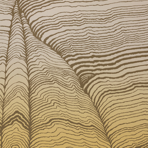 Sidewall, Les Falaises, 1976