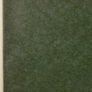 Sidewall (Japan), 1990–95