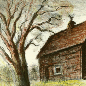 Print (USA)