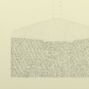 Print (USA)